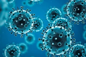 First MENA HPF virtual meeting midst COVID-19 Pandemic.